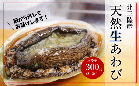 [年内お届け!]★殻から外してお届け★「北三陸産天然生あわび300g」鮑 アワビ 魚介 選べる 300g 処理済み 海鮮 冷蔵 刺身 お祝い 産地直送 三陸 岩手