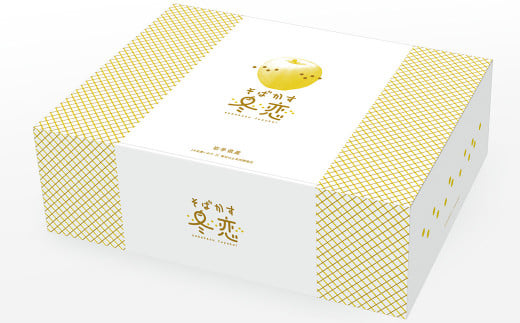 二戸産 カシオペア そばかす冬恋はるか 約2.5kg 【2025年12月上旬-下旬発送予定】 ／林檎 リンゴ フルーツ 果物 はるか お取り寄せ 蜜入り 糖度15度以上 サビあり