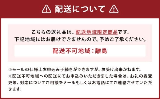 【南部美人】特別純米酒 干支ラベル2026（午年）720ml×1/贈答品 お祝い お正月 限定ラベル お酒 日本酒 ギフト お取り寄せ