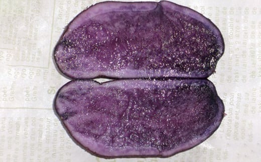 【厳選品】岩手にのへじゃがいも「伝」シャドークイーン（サイズ混合） 5kg 【2026年9月中旬から2027年2月下旬発送予定】／ジャガイモ じゃがいも 芋 イモ ポテト 野菜 お取り寄せ 農家 産地直送