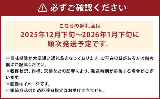 訳あり りんご（はるか） 約10kg ／りんご 林檎 果物 くだもの フルーツ 岩手県産 【2025年12月下旬－2026年1月下旬発送予定】