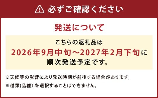 【厳選品】岩手にのへじゃがいも「伝」3～4種 品種おまかせ (サイズ混合) 5kg 【2026年9月中旬から2027年2月下旬発送予定】／ジャガイモ じゃがいも 芋 イモ ポテト 野菜 お取り寄せ 農家 産地直送 食べ比べ