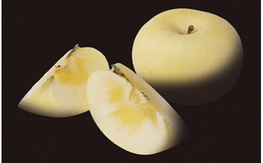 二戸産 カシオペア プレミアム冬恋はるか 約2.5kg 【2025年12月上旬-下旬発送予定】 ／りんご リンゴ 林檎 フルーツ 果物 旬 お取り寄せ 冬恋ブランド 蜜入り