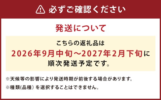 【厳選品】岩手にのへじゃがいも「伝」3～4種 品種おまかせ (L・Mサイズ混合) 10kg 【2026年9月中旬から2027年2月下旬発送予定】／ジャガイモ じゃがいも 芋 イモ ポテト 野菜 お取り寄せ 農家 産地直送 食べ比べ