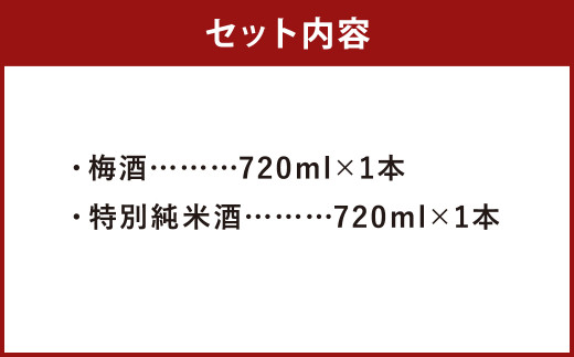 【南部美人】糖類無添加梅酒＆特別純米酒セット ギフト箱入 ／ 贈答品 お酒 酒 アルコール ギフト 飲み比べ お取り寄せ