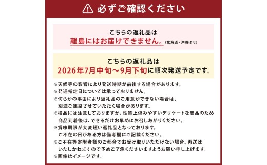 いわてひろファームの「岩手にのへきゅうり」訳アリ・Ｂ品 10kg(5kg×2箱)
