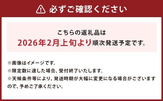 まるで果実!? ホワイトアスパラガス MIX（3L～L／500g×2袋）【2026年2月上旬より発送開始】／アスパラ アスパラガス 野菜 白い果実 新鮮 産地直送 旬の野菜 お取り寄せ 国産