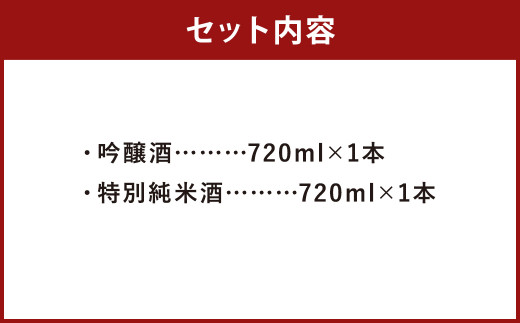 【南部美人】吟醸酒＆特別純米酒セット 各720ml×1本 ギフト箱入 ／ 贈答品 お酒 酒 アルコール 日本酒 純米酒 ギフト 飲み比べ お取り寄せ