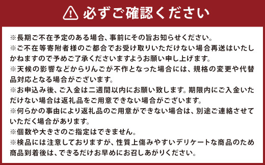 訳あり りんご（はるか） 約10kg ／りんご 林檎 果物 くだもの フルーツ 岩手県産 【2025年12月下旬－2026年1月下旬発送予定】
