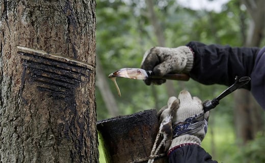 【滴生舎】浄法寺漆器　浄漆椀（中）朱・溜／漆器 器 食器 お椀 椀 伝統工芸品 国産漆