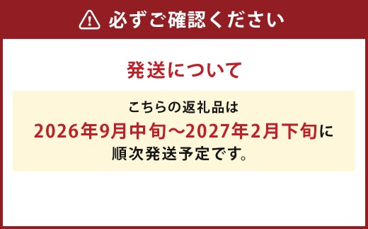 【厳選品】岩手にのへじゃがいも「伝」メークイン （L・Mサイズ）10kg 【2026年9月中旬から2027年2月下旬発送予定】／ジャガイモ じゃがいも 芋 イモ ポテト 野菜 お取り寄せ 農家 産地直送