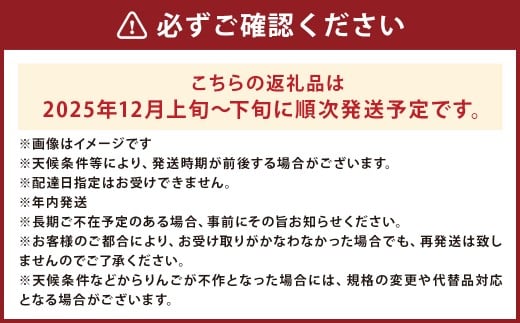 二戸産 カシオペア 純情はるか 約2.5kg （個数：8個～11個） 【2025年12月上旬～下旬発送予定】 ／ 林檎 リンゴ フルーツ 果物 はるか 国産フルーツ 岩手県 二戸市 常温