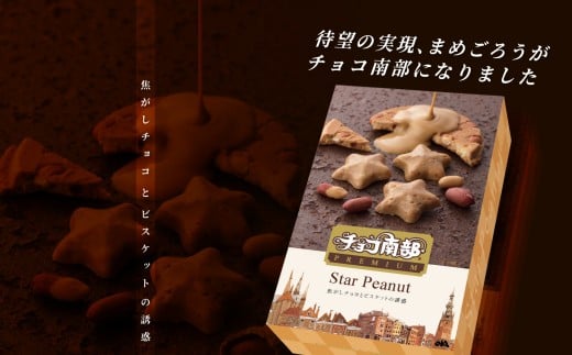 【季節限定】 チョコ南部PREMIUM Star Peanut（スターピーナツ) 30個 ／ チョコレート ピーナッツ お菓子 常温 岩手県 二戸市