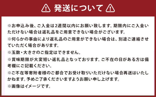 【訳あり】 サンふじ 約5kg 家庭用／わけあり りんご リンゴ フルーツ 果物 岩手 【2025年12月発送予定】