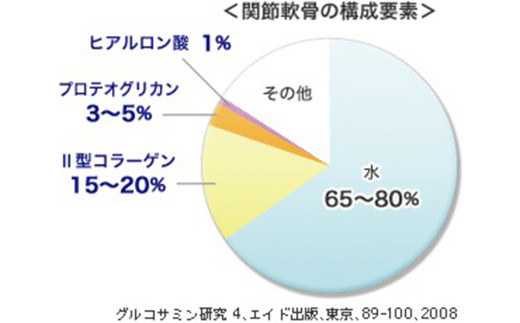 75714_DHC Ⅱ型コラーゲン+プロテオグリカン 30日分 2個セット (60日分)
