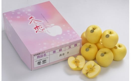 二戸産 カシオペア プレミアム冬恋はるか 約2.5kg 【2025年12月上旬-下旬発送予定】 ／りんご リンゴ 林檎 フルーツ 果物 旬 お取り寄せ 冬恋ブランド 蜜入り