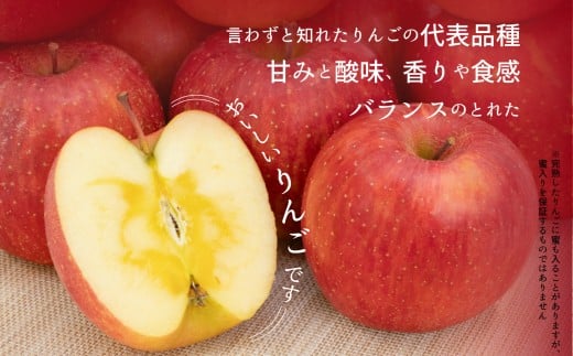 【訳あり】 サンふじ 約5kg 家庭用／わけあり りんご リンゴ フルーツ 果物 岩手 【2025年12月発送予定】
