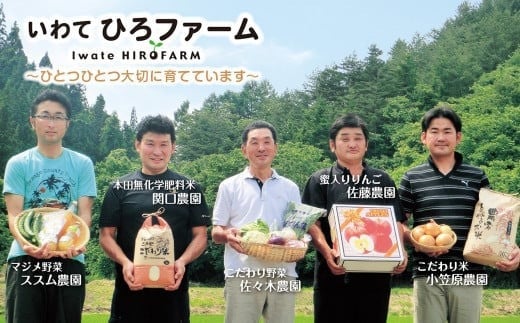 【厳選品】岩手にのへじゃがいも「伝」3～4種 品種おまかせ (L・Mサイズ混合) 10kg 【2026年9月中旬から2027年2月下旬発送予定】／ジャガイモ じゃがいも 芋 イモ ポテト 野菜 お取り寄せ 農家 産地直送 食べ比べ