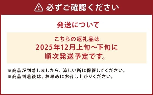 二戸産 カシオペア プレミアム冬恋はるか 約2.5kg 【2025年12月上旬-下旬発送予定】 ／りんご リンゴ 林檎 フルーツ 果物 旬 お取り寄せ 冬恋ブランド 蜜入り