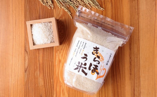 令和7年産 金田一う米「きらほ」 1.2kg×6袋 計7.2kg／お米 米 コメ 白米 ご飯 精米 お取り寄せ