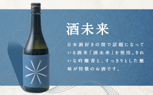 【南部美人】純米大吟醸ビューティーシリーズ（720ml×3・計2160ml）ギフト箱入 ／ 贈答品 お酒 酒 アルコール 日本酒 純米酒 日本酒 ギフト 飲み比べ お取り寄せ
