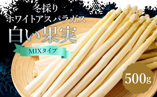 まるで果実!? ホワイトアスパラガス MIX （3L～L／500g×1袋）【2026年2月上旬より発送開始】／アスパラ アスパラガス 野菜 白い果実 新鮮 産地直送 旬の野菜 お取り寄せ 国産