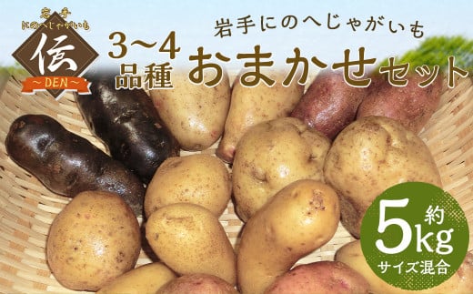 【厳選品】岩手にのへじゃがいも「伝」3～4種 品種おまかせ (サイズ混合) 5kg 【2026年9月中旬から2027年2月下旬発送予定】／ジャガイモ じゃがいも 芋 イモ ポテト 野菜 お取り寄せ 農家 産地直送 食べ比べ