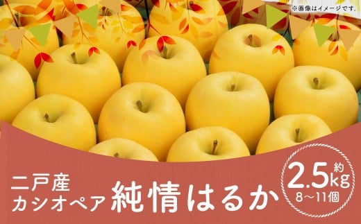 二戸産 カシオペア 純情はるか 約2.5kg （個数：8個～11個） 【2025年12月上旬～下旬発送予定】 ／ 林檎 リンゴ フルーツ 果物 はるか 国産フルーツ 岩手県 二戸市 常温