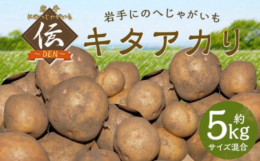 【厳選品】岩手にのへじゃがいも「伝」キタアカリ (サイズ混合) 5kg 【2026年9月中旬から2027年2月下旬発送予定】／ジャガイモ じゃがいも 芋 イモ ポテト 野菜 お取り寄せ 農家 産地直送