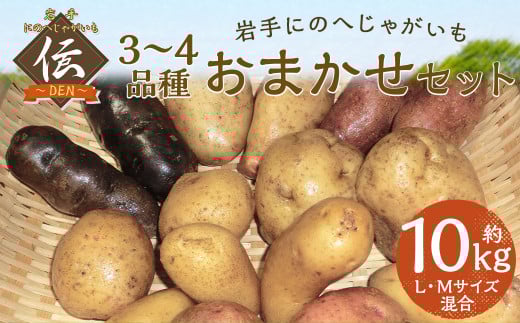 【厳選品】岩手にのへじゃがいも「伝」3～4種 品種おまかせ (L・Mサイズ混合) 10kg 【2026年9月中旬から2027年2月下旬発送予定】／ジャガイモ じゃがいも 芋 イモ ポテト 野菜 お取り寄せ 農家 産地直送 食べ比べ