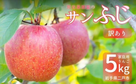 【訳あり】 サンふじ 約5kg 家庭用／わけあり りんご リンゴ フルーツ 果物 岩手 【2025年12月発送予定】