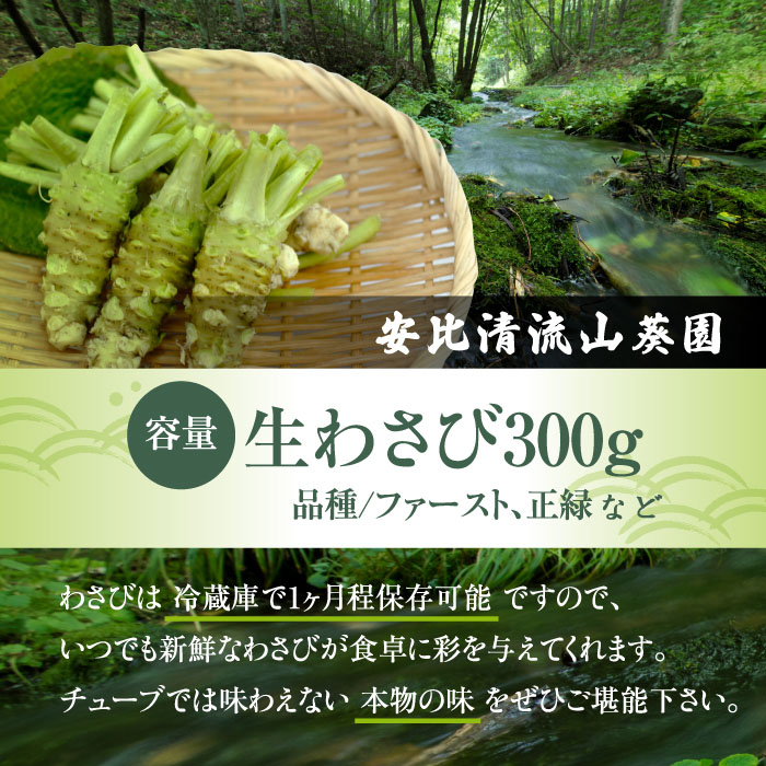 生わさび 300g 【安比清流山葵園】 ／ 山葵 ワサビ 薬味 産地直送 新鮮