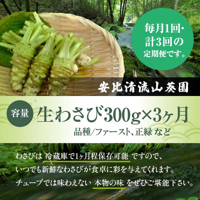 生わさび 300g 定期便3ヶ月 【安比清流山葵園】 ／ わさび 山葵 ワサビ 生山葵 生ワサビ 新鮮 薬味 産地直送 国産 岩手県産
