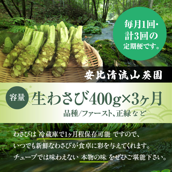 生わさび 400g定期便3ヶ月 【安比清流山葵園】 ／ 山葵 ワサビ 薬味 産地直送 新鮮