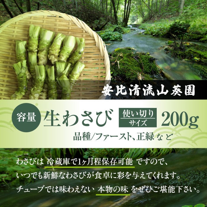 生わさび使い切りサイズ 200g 【安比清流山葵園】 ／ わさび 山葵 ワサビ 生山葵 生ワサビ 新鮮 薬味 産地直送 国産 岩手県産