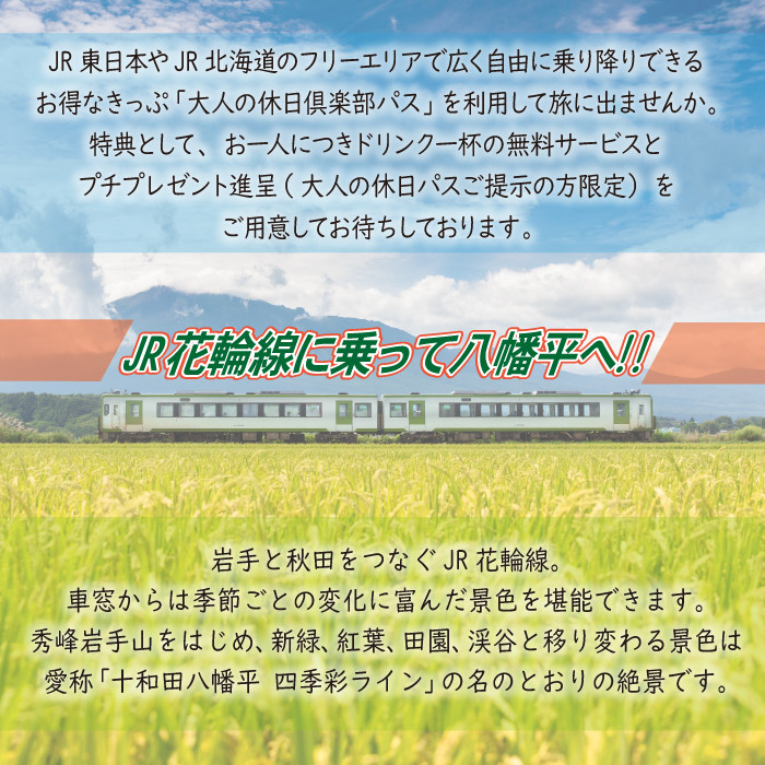 【新安比温泉 静流閣】 大人の列車旅応援プラン ペア宿泊券 1泊2食付 和室 ／ 宿泊 旅行 観光 夫婦 温泉