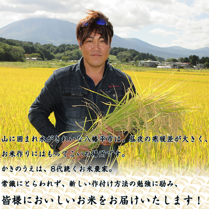【令和7年産】 あきたこまち 精米 10kg ／ かきのうえ こめ 米 コメ お米 おこめ 白米 白飯