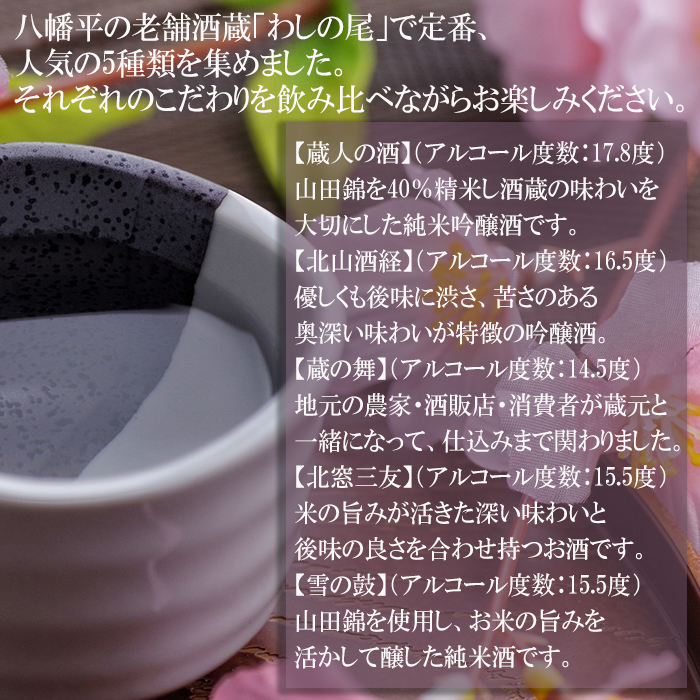鷲の尾 地酒飲み比べ 300ml×5種セット ／ 澤口酒店 地酒 日本酒 5本 わしの尾