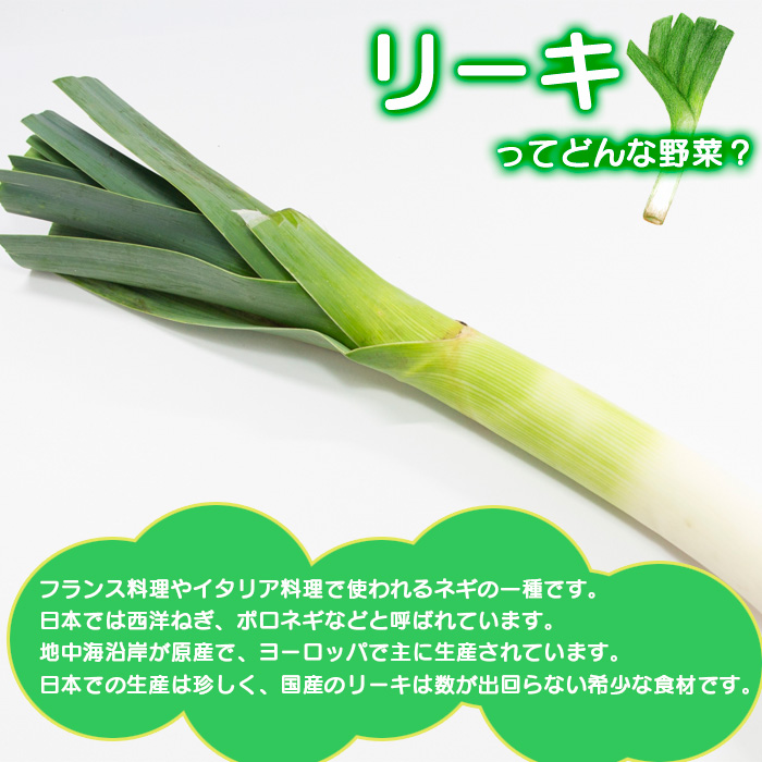 岩手県産 リーキ 2kg 【みのり風土】 ／ 西洋ねぎ ポロネギ ポワロ ポロ ポアロ リーク
