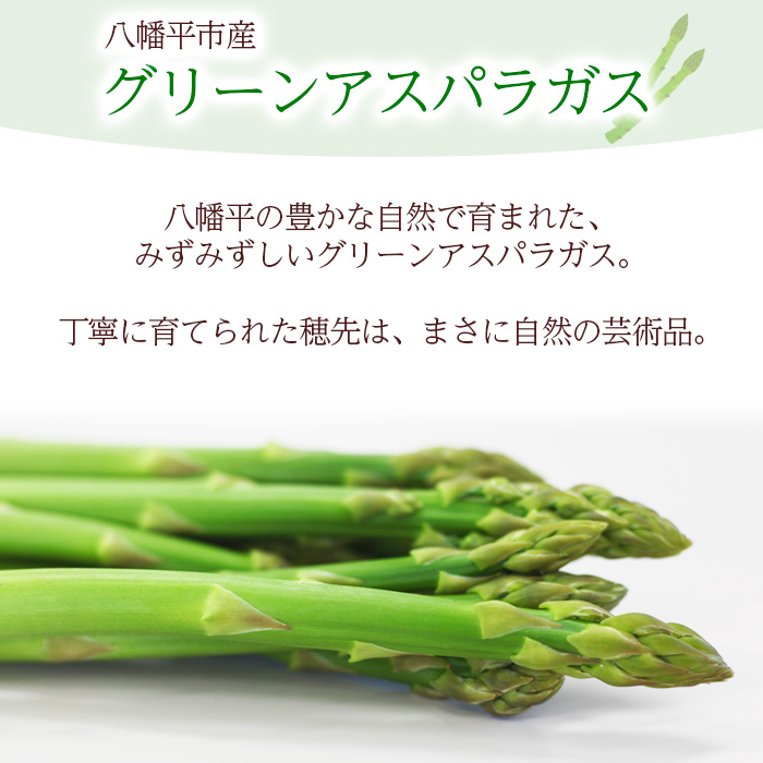 甘い！ 朝採れ グリーンアスパラガス 600g （200g×3束） ／ 産地直送 農家直送 アスパラ 野菜 【田村和大】