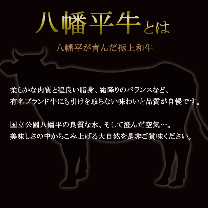 八幡平牛「牛串」5本セット【超希少黒毛和牛】 ／ 牛肉 希少 国産牛 串焼き 八幡平市牛肉推進協議会