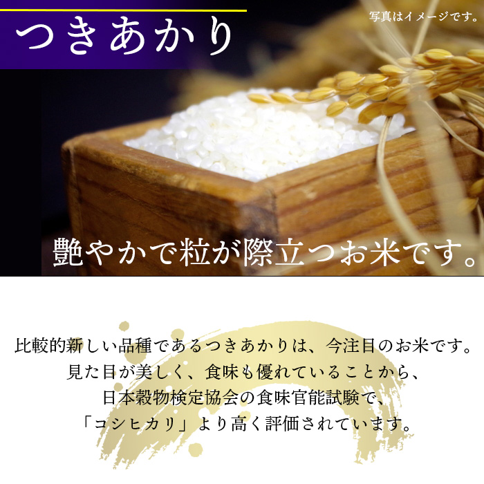 【令和7年産】 つきあかり 精米 10kg （5kg×2袋） ／ 中沢農産 こめ 米 コメ お米 おこめ ご飯 ごはん 白米 白飯
