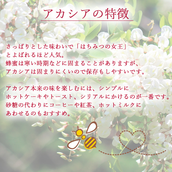 【八幡平産】 アカシア 蜂蜜 非加熱 520g ／ はちみつ ハチミツ ハニー 国産 高橋養蜂