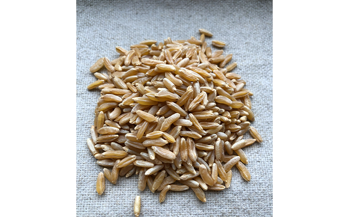 薪窯パン 有機コラサン 2個 × 3ヶ月定期便 【 農家パン VERUM 】 ／ パン ぱん ブレッド ベーカリー 古代小麦 薪窯 薪窯焼き 薪窯焼 石窯パン 石窯 卵不使用 乳製品不使用 乳不使用