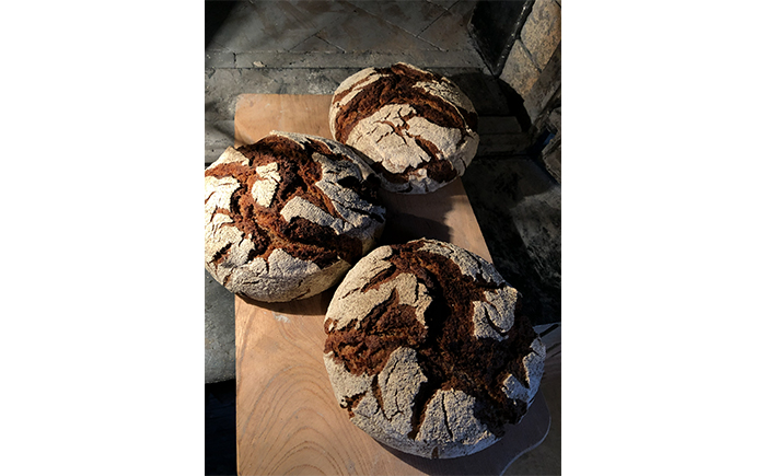 薪窯パン 有機ライ麦 2個 × 3ヶ月定期便 【 農家パン VERUM 】 ／ パン ぱん ブレッド ベーカリー 古代小麦 薪窯 薪窯焼き 薪窯焼 石窯パン 石窯 卵不使用 乳製品不使用 乳不使用