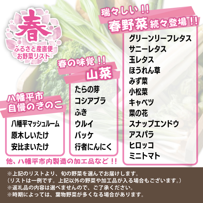 八幡平のふるさと産直箱（大） 12ヶ月定期便 【あすぴーて】 ／ 野菜 採れたて 新鮮 おまかせ 詰合せ 詰め合わせ 野菜の詰合せ セット 産直 お取り寄せ お取寄せ 取り寄せ