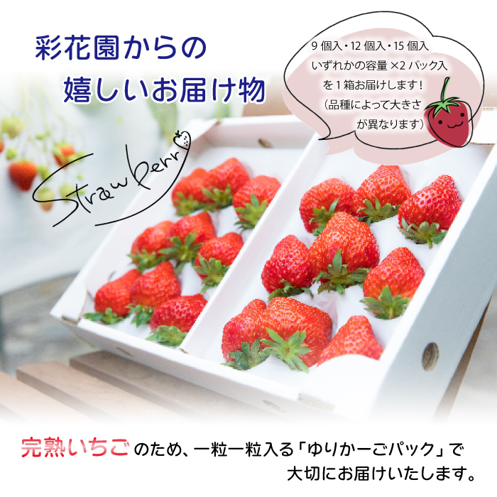 八幡平市「彩花園」よりお届け！！ 大粒あま～い完熟いちご ／ 苺 イチゴ ストロベリー お取り寄せ 産地直送