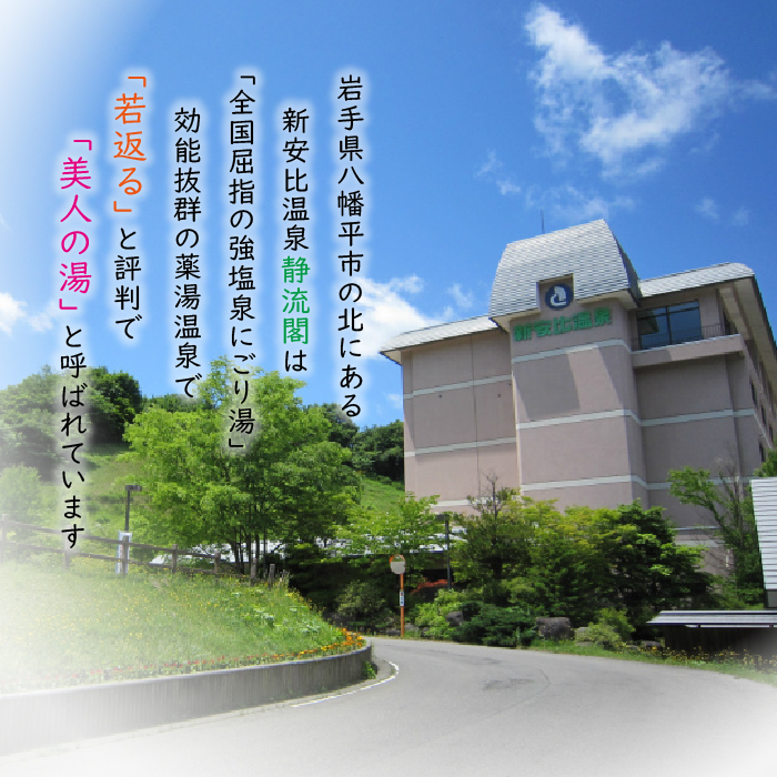 【新安比温泉 静流閣】 大人の列車旅応援プラン ペア宿泊券 1泊2食付 和室 ／ 宿泊 旅行 観光 夫婦 温泉