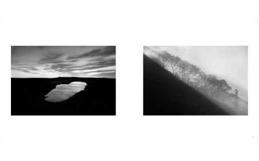 写真家 望月久 モノクロ写真集「FOREST」～安比高原・八幡平～ ／ 写真 写真集 作品集 風景 自然