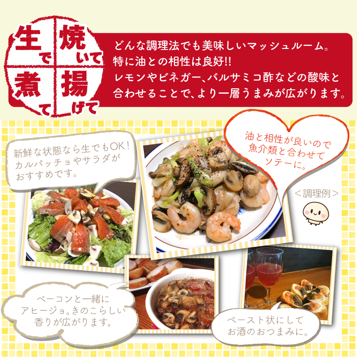 八幡平マッシュルーム1kg 色はおまかせ 3ヶ月定期便 ／ジオファーム きのこ 料理 キノコ 茸